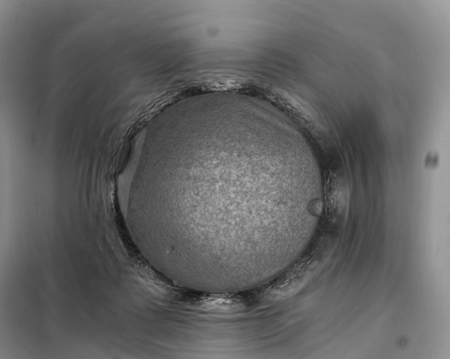 X0000098000315200804071225