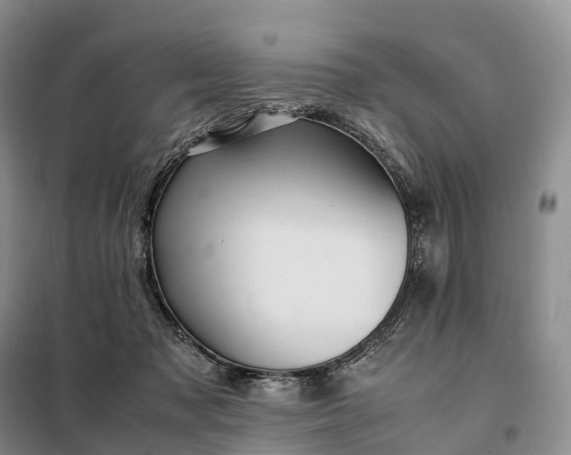 X0000098000317200804071225