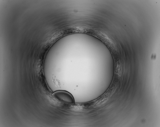 X0000098000318200804071225
