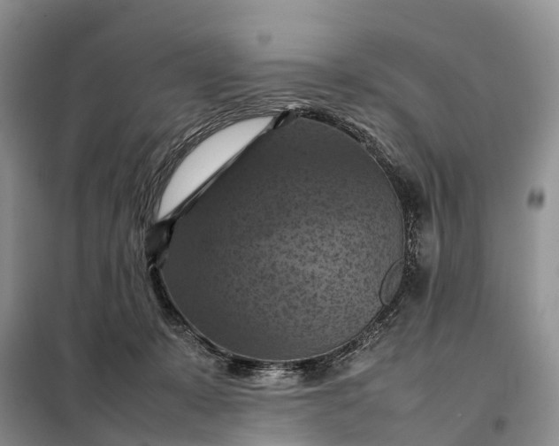 X0000098000319200804071225