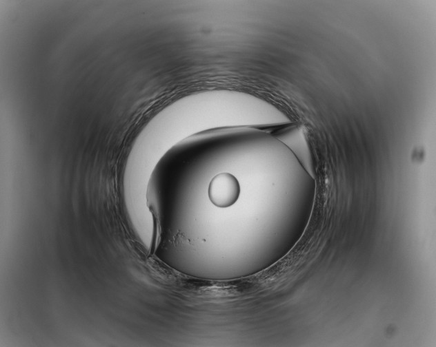 X0000098000320200804071225