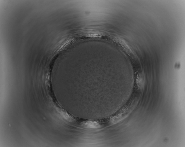 X0000098000322200804071225