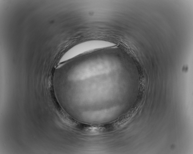 X0000098000323200804071225