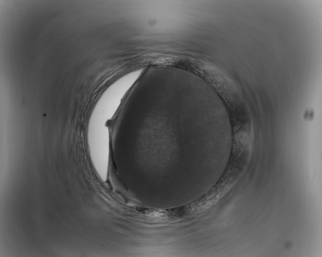 X0000098000325200804071224