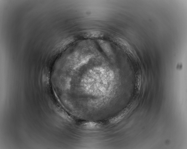 X0000098000326200804071224