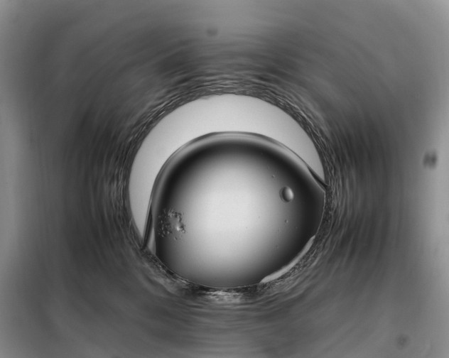 X0000098000328200804071224