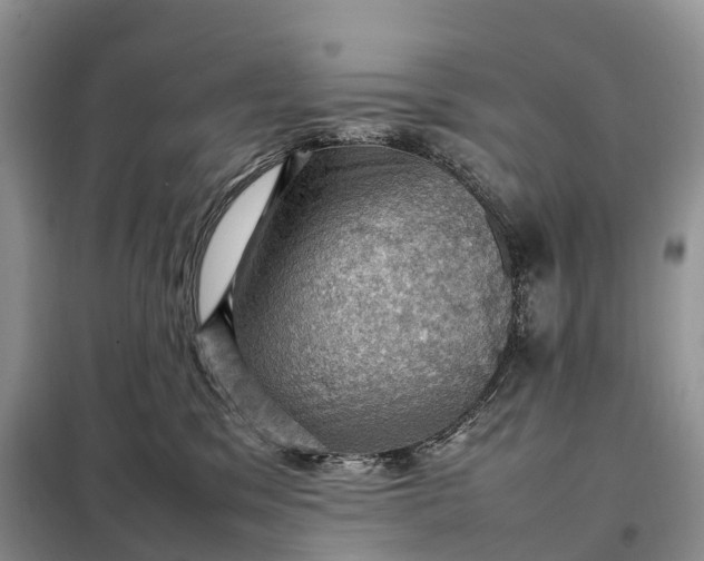 X0000098000329200804071224