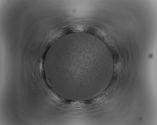X0000098000331200804071224