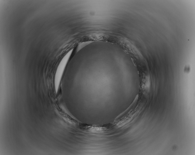 X0000098000332200804071224