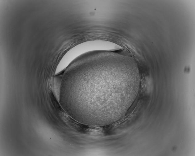 X0000098000333200804071224