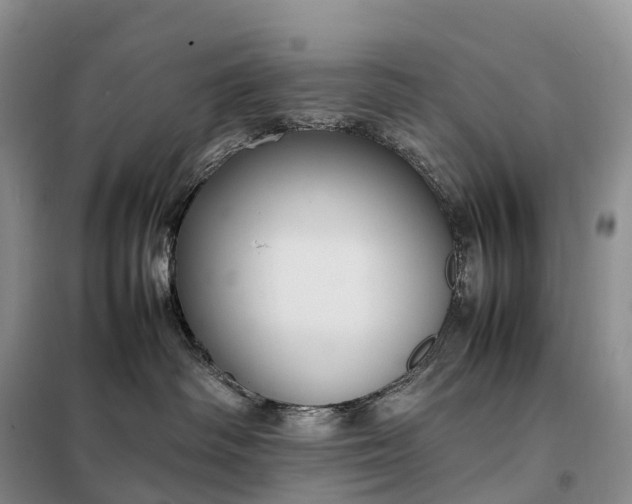 X0000098000334200804071224