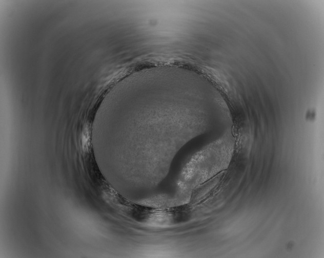 X0000098000335200804071224