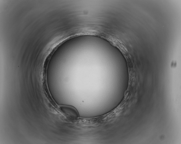 X0000098000338200804071224