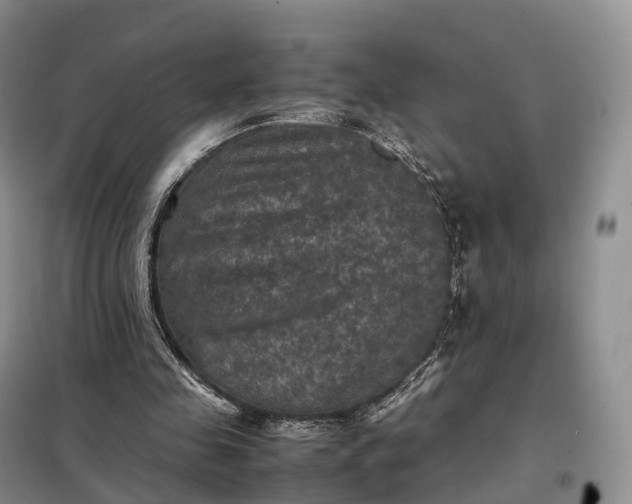 X0000098000341200804071224