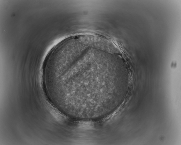 X0000098000342200804071224