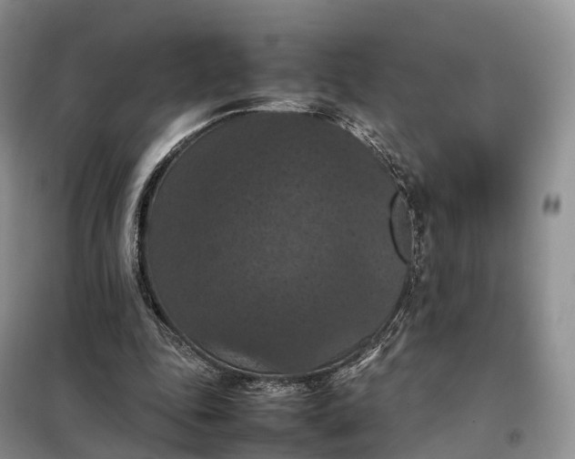 X0000098000343200804071224