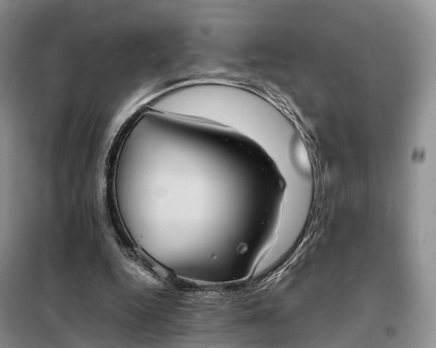 X0000098000344200804071224
