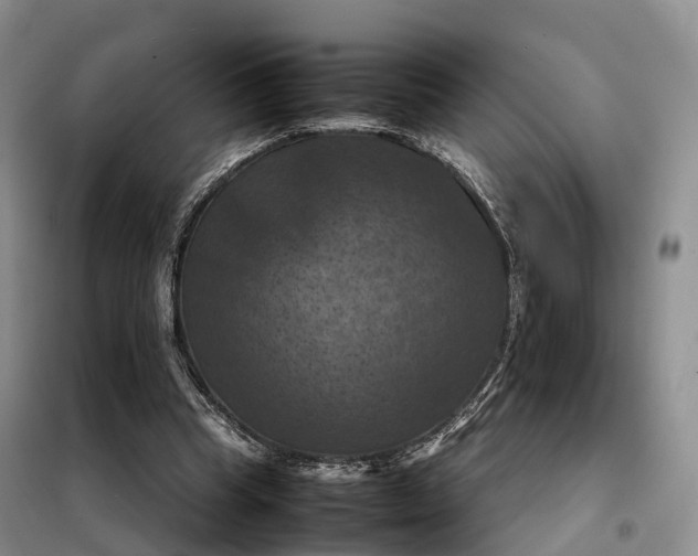 X0000098000345200804071224
