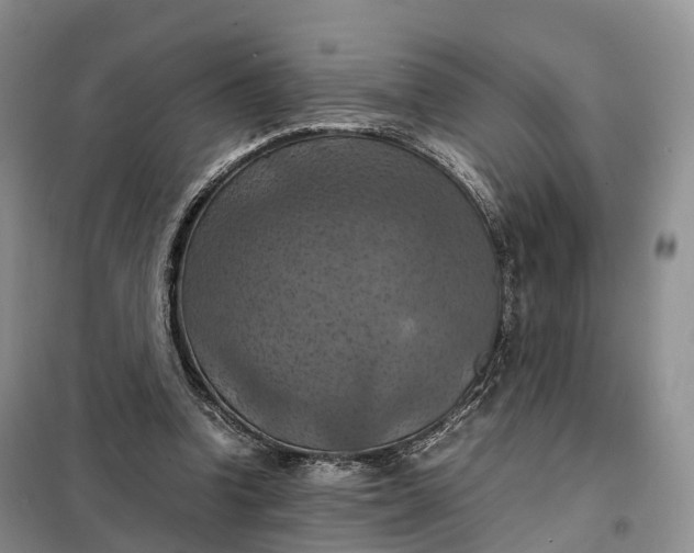 X0000098000346200804071224