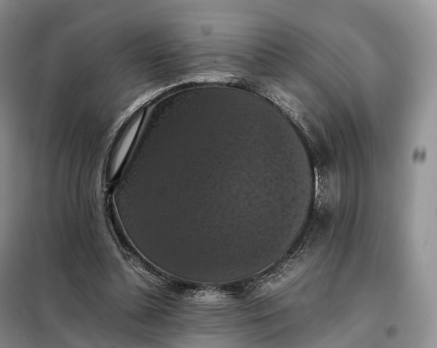 X0000098000348200804071224