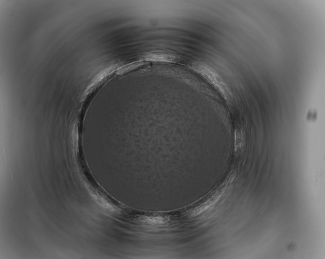 X0000098000349200804071224