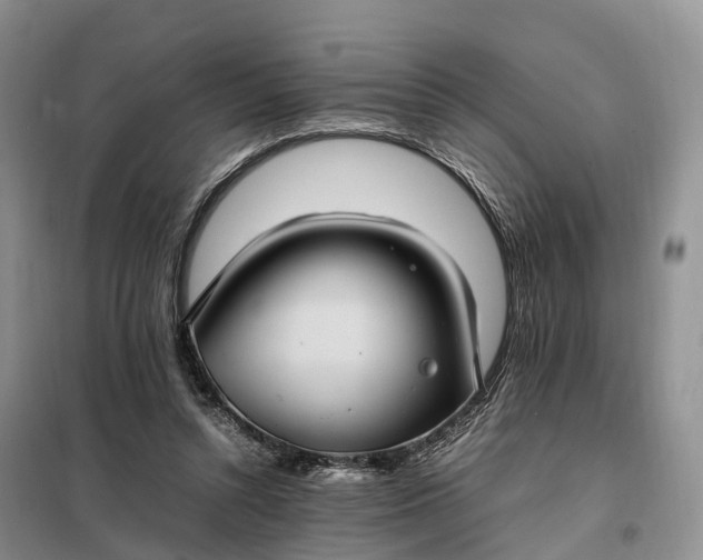 X0000098000352200804071224