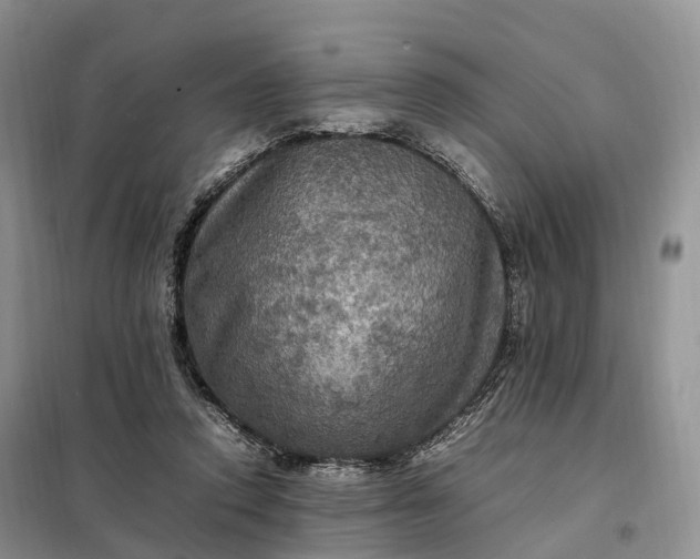 X0000098000354200804071224