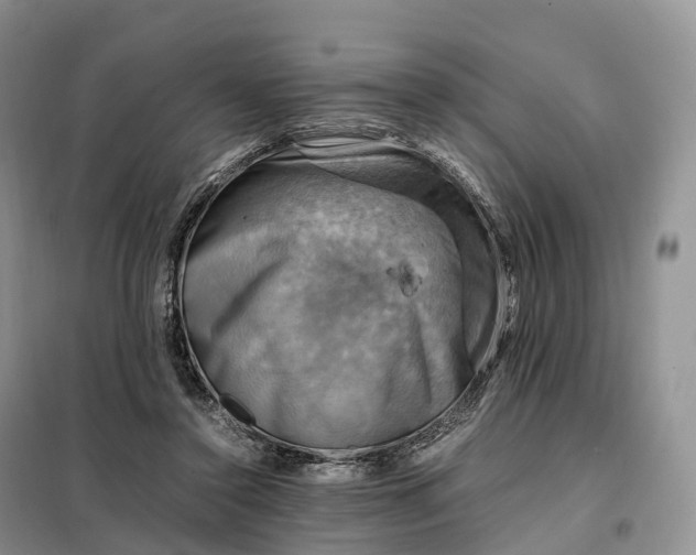 X0000098000356200804071224