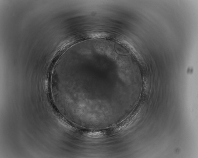 X0000098000357200804071224