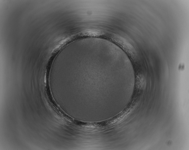 X0000098000358200804071224