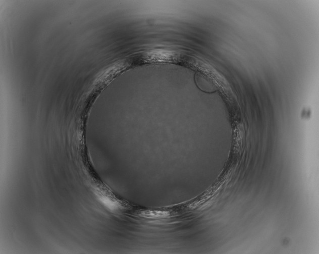 X0000098000361200804071224