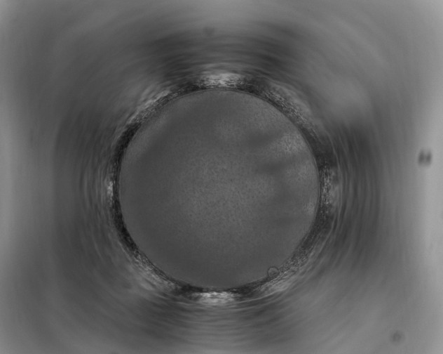 X0000098000363200804071224