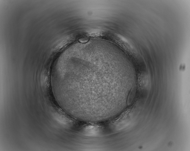 X0000098000364200804071224