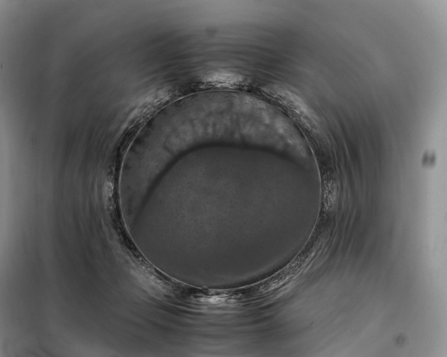X0000098000365200804071224