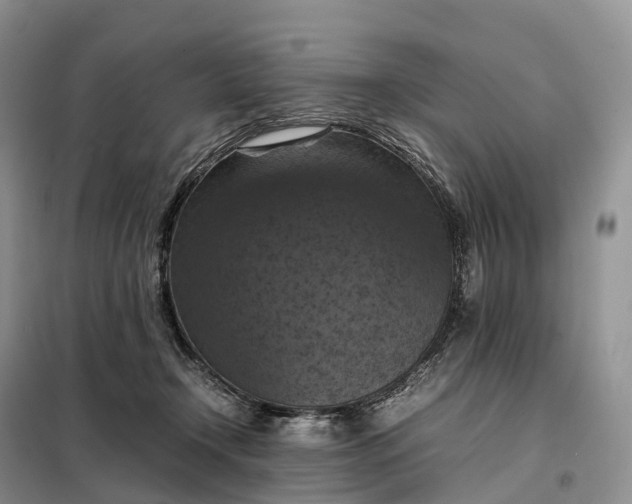 X0000098000366200804071224