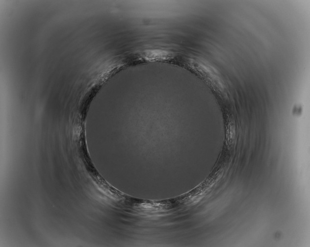 X0000098000367200804071224