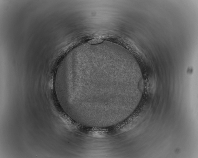X0000098000368200804071224