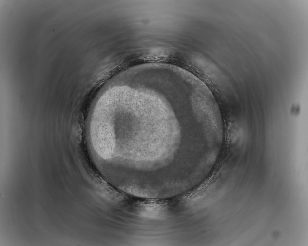 X0000098000370200804071224