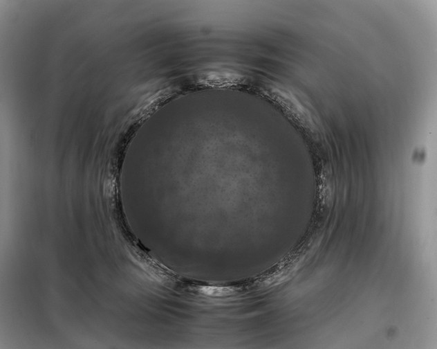 X0000098000371200804071224