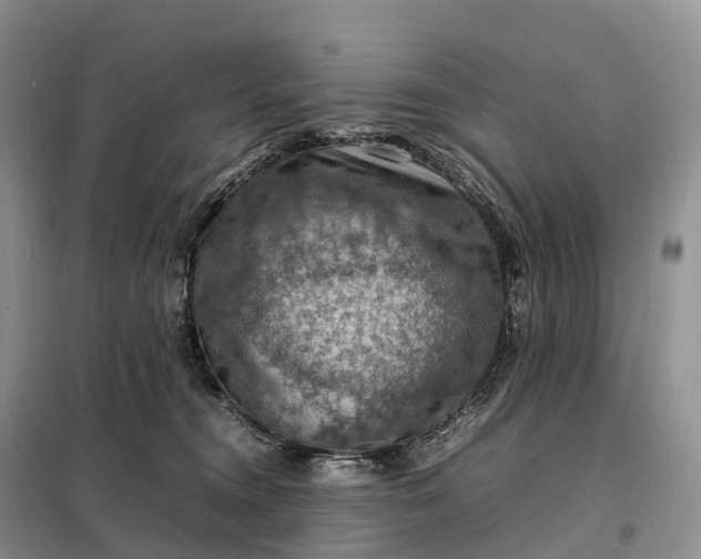X0000098000372200804071224