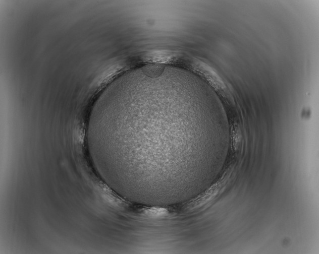 X0000098000374200804071224