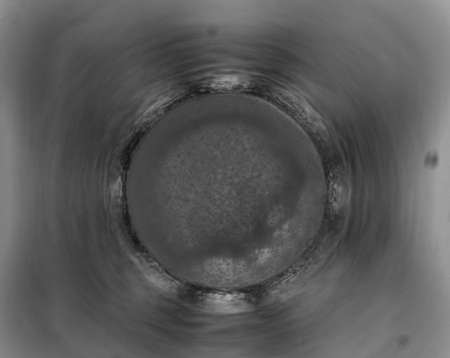 X0000098000375200804071224