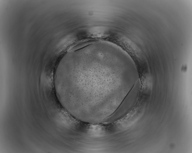 X0000098000376200804071224
