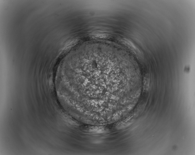 X0000098000377200804071224