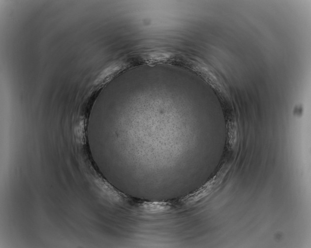 X0000098000378200804071224