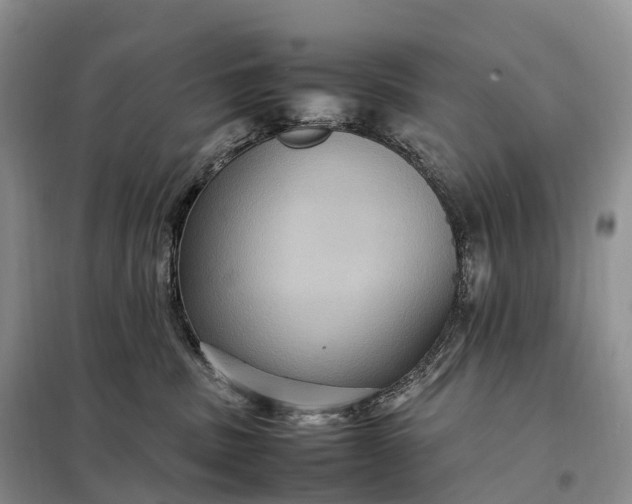 X0000098000379200804071224