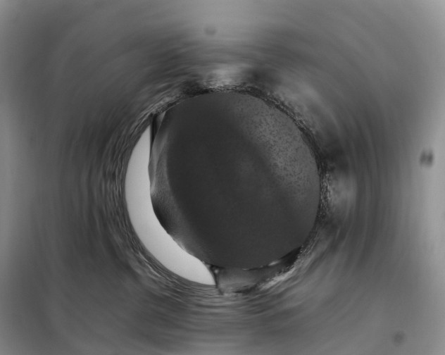 X0000098000380200804071224