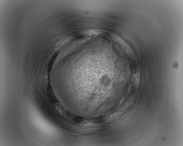 X0000098000381200804071224
