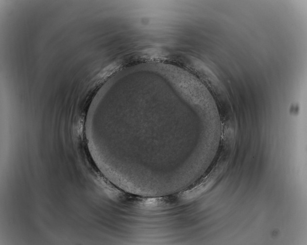 X0000098000382200804071224