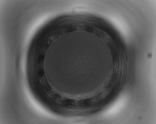X0000098000383200804071224